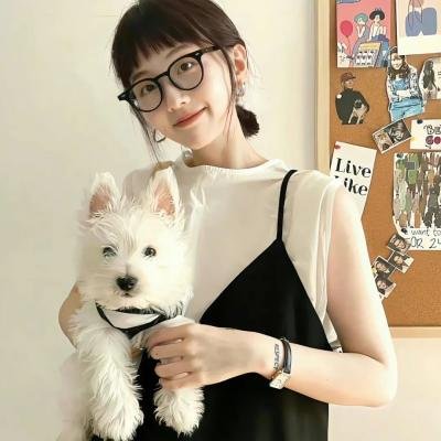 笨鸟满天飞